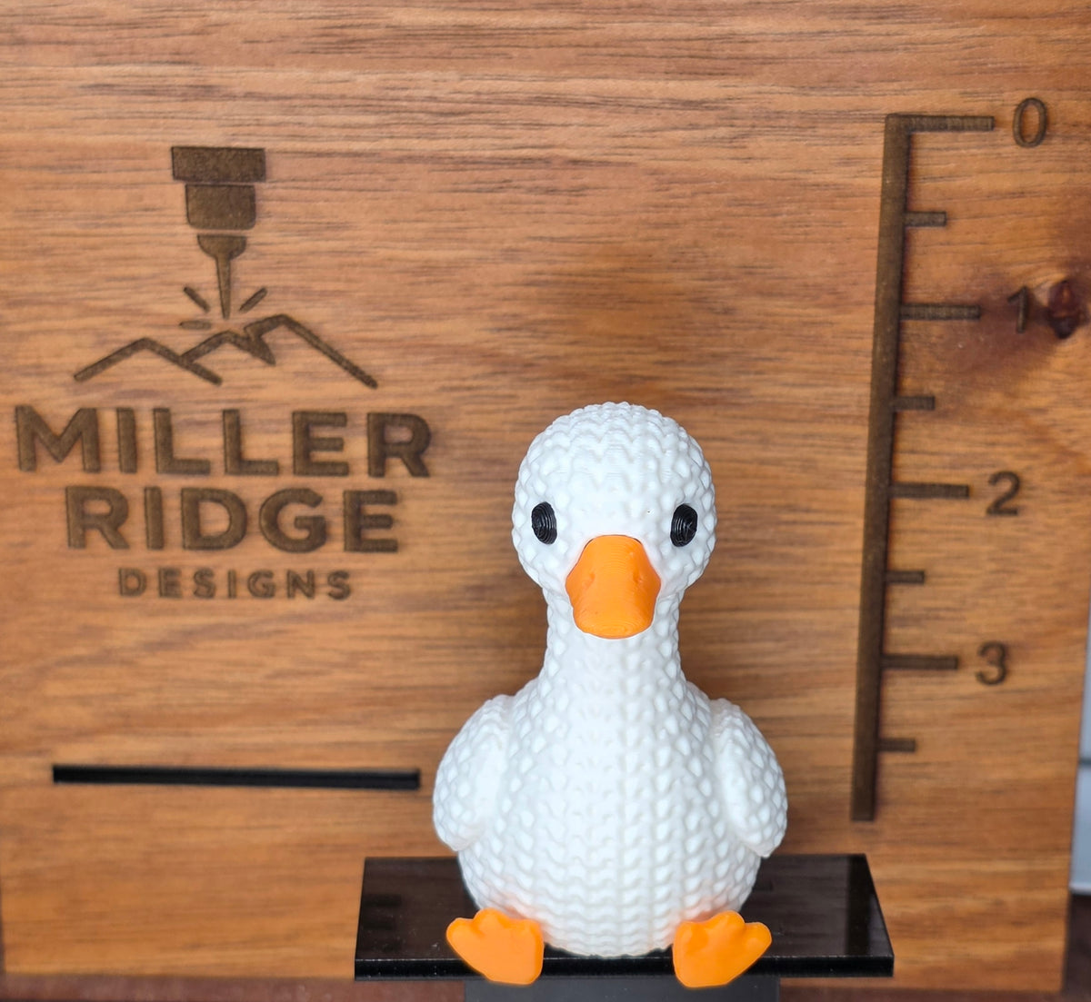 Little goose