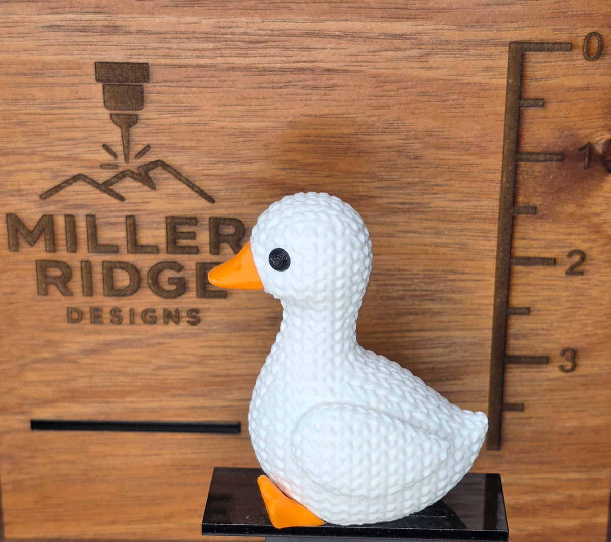 Little goose