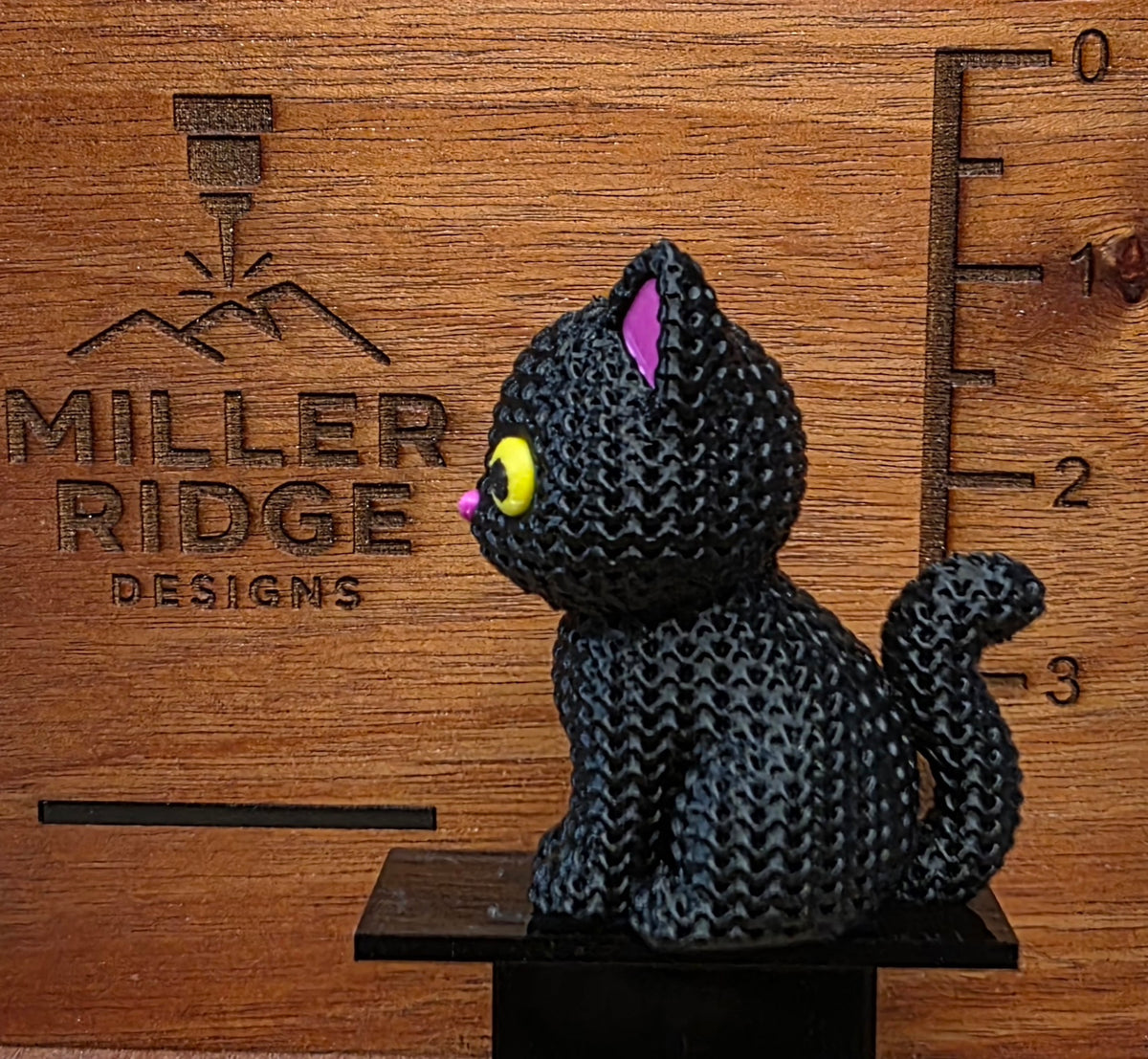 Spooky cat