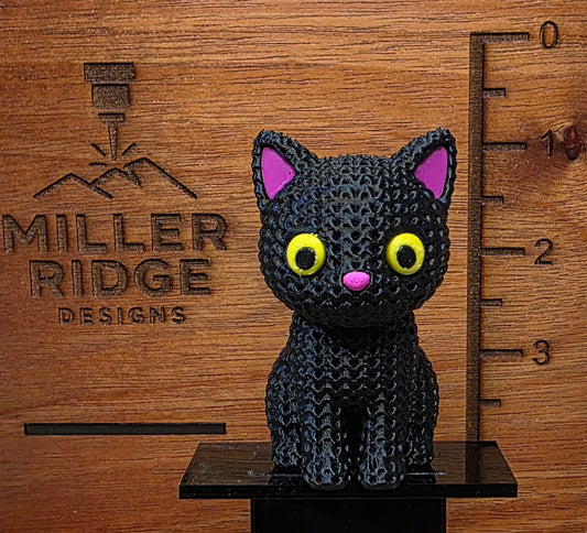 Spooky cat