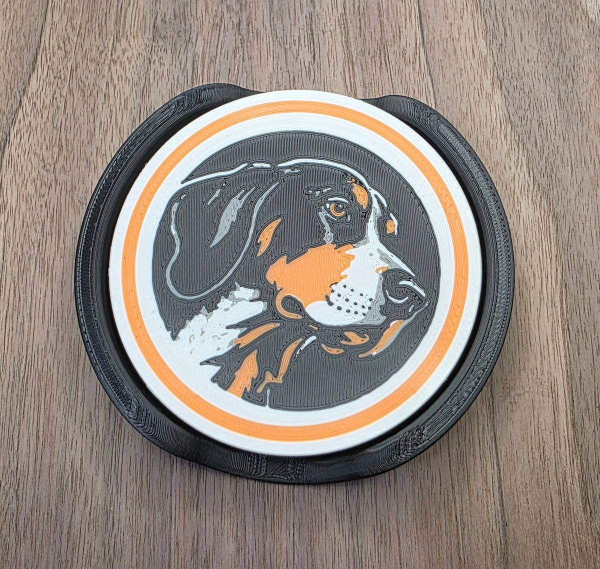 Checkered Vols and Smokey coasters set