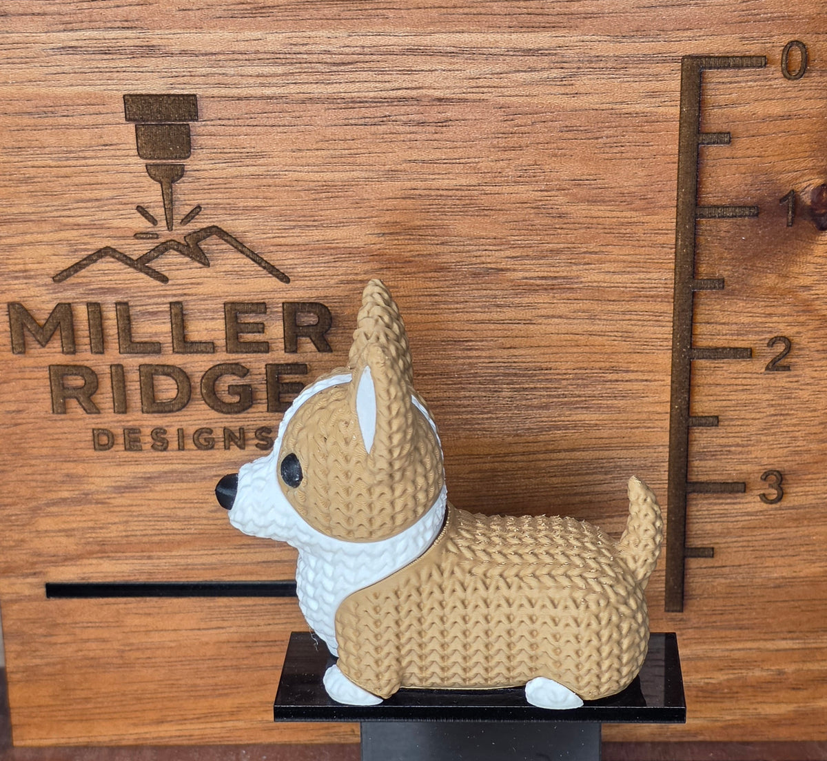 Corgi